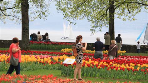 Visit the Free Morges Tulip Festival on Lake Geneva